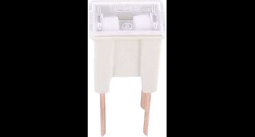 FLM pal zekering 120 amp 1 stuk