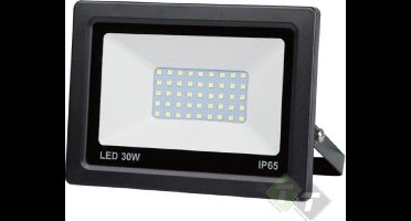 HÖFFTECH LED Straler - Werklamp - 30 W - Metaal - Wit LED