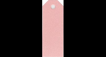 Happy Moments Labels Roze 3 X 8 Cm Karton 20 Stuks