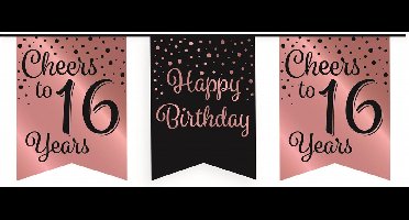 Vlaggenlijn | Cheers to 16 years | 6 meter | Dubbelzijdig | Zwart Roze