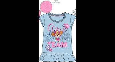 Paw Patrol t-shirt - Maat 128 / 8 jaar