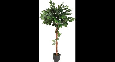 Atmosphera Kunstplant - Plant - Ficus - Met Pot - H130cm