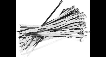 100x Kabelbinders, RVS - 25 cm