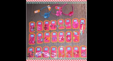 Lief Lifestyle! Mooi Haaraccesoires pakket! (6)