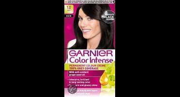Garnier Color Intense Zwart 1.0