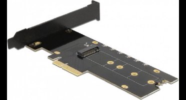 Delock PCI Express x4 Card to 1 x internal NVMe M.2 Key M with heat sink and RGB LED illumination - Low Profile Form Factor