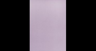 Happy Moments Vellum-papier A4 100 Gram Paars 10 Stuks