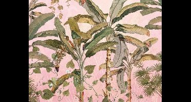 Komar - Fotobehang - Plantation - 350x270 - cm