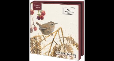 Wenskaartenset Vogelbescherming - vogels in de winter