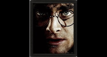Harry Potter: Harry Potter vs Voldemort - Framed 3D Poster