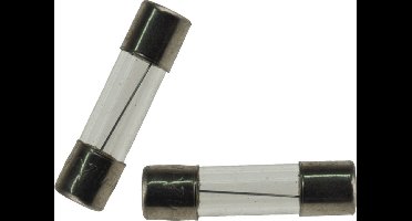 UNIVERSEEL - GLASZEKERING TRAAG 1.6 A -