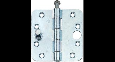 BSW veiligheidsscharnier rnd.89x89x3mm rd v1803gv