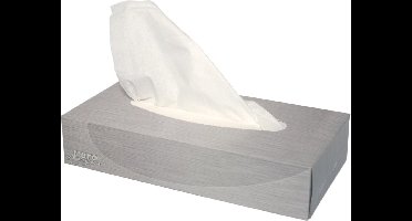 40X papieren zakdoeken, 2-laags, 100 vellen