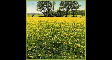 Kaartenmapje Siemen Dijkstra - Drenthe