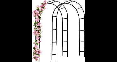 Gardebruk Rozenbogen 2 Stuks - Metaal 240x140x37cm - Zwart