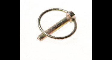 Dulimex borg pen verzinkt 8mm 9.73033008 5 stuks