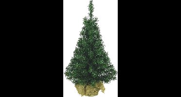 Everlands - Kerstboom - in jute zak - 75 cm