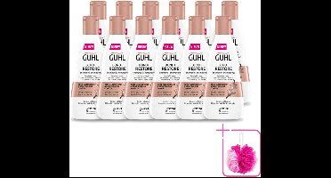 12 x Guhl - Shampoo - Bond+ Restore - 250 ml - Bulkverpakking - Herstel haar - Beschadigd haar