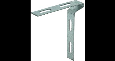GB Plafondveeranker 21270 20x2mm verzinkt