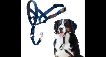Halti Headcollar - Cobalt Blue - Maat 4