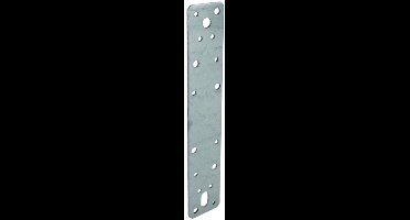 Koppelplaat - 250 x 46 x 2 mm - Verzinkt