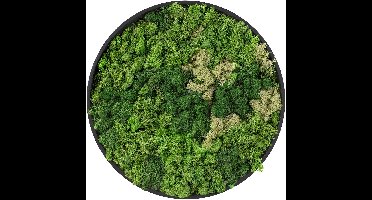 ECD Germany Mosschilderij geconserveerd iJslands rechthoekig rond Ø 30 cm interieur wanddecoratie van natuurlijk 3D mos en houten frame, onderhoudsvrij, decoratieve kunst voor huis en kantoor