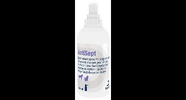 AntiSept Desinfectiespray - 100 ml