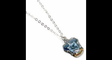 The Carat Shop - Harry Potter - Ravenclaw Schild Ketting - Zilverkleurig