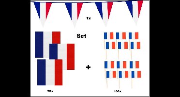 Feestpakket Frankrijk | 1x Vlaggenlijn Frankrijk 10 meter + 20x Servetten Frankrijk 33cm x 33cm 3 laags + 100x Cocktailprikkers Frankrijk- Frankrijk set