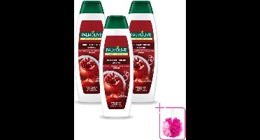 3 x Palmolive Naturals - Shampoo - Brilliant Color - Voor Gekleurd Haar - 350 ml - Bulkverpakking - Gekleurd haar - Haarkleur behouden
