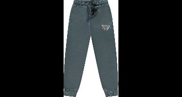 Cars Jeans Joggingbroek Tyle jr. -