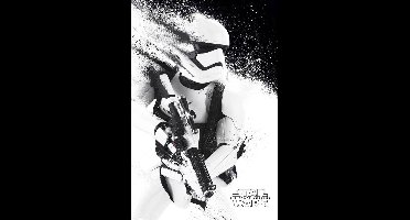 Star Wars Episode II Stormtrooper Paint - Maxi Poster