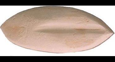 BOON Sepia - 25-30 cm - 2KG