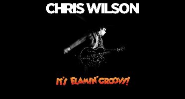 ItS Flamin Groovy