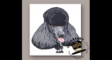Tegel Hond Poedel