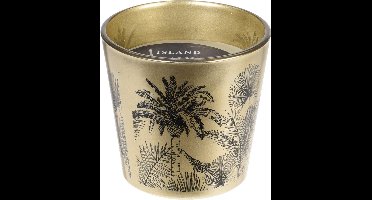 Geurkaarsen in glas - goud - per 3 stuks - 13 cm hoog - woondecoratie -cadeauset