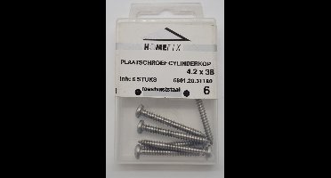 Homefix plaatschroef cylinderkop