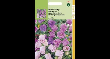 Hortitops zaden - Kop-En-Schotel Bloemzaad - Campanula Medium Calycanthema - Gemengd