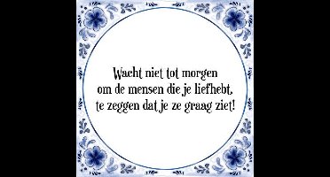 Tegeltje met Spreuk (Tegeltjeswijsheid): Wacht niet tot morgen om de mensen die je liefhebt, te zeggen dat je ze graag ziet! + Kado verpakking & Plakhanger