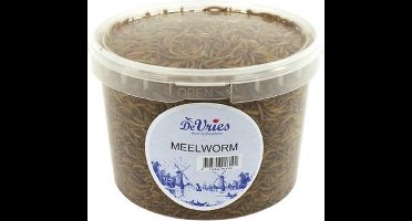 Meelwormen DE VRIES - Black Soldier Fly 120 gr - Eiwitrijke Snack in Hersluitbare Emmer