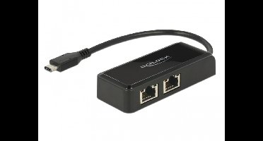 Delock Adapter SuperSpeed USB (USB 3.1 Gen 1) with USB Type-C™ male > 2 x Gigabit LAN 10/100/1000 Mbps