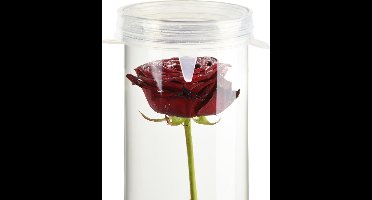 Silicone Afdekdop voor verzonken bloemen vazen