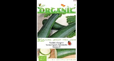 Buzzy® Organic - Courgette Partenon F1 (BIO)