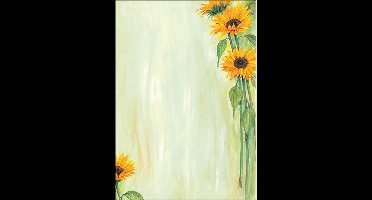 Designpapier Sigel A4 90grs - Sunflower pak 25 vel