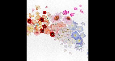 Flor