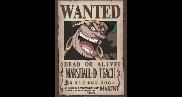 Poster One Piece - Wanted Blackbeard 38x52cm