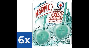 Harpic Hygiënische Steen Anti-Kalk Eucalyptus 2 x 40g - Voordeelverpakking 6 stuks