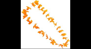 Folat Krans Hawaii Polyester Oranje One-size