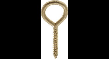 Homefix Schroefoog 22x10mm