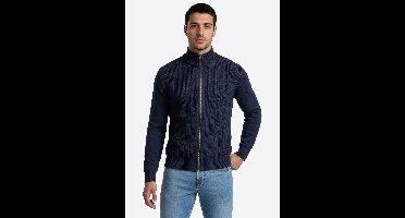 pierre cardin vest